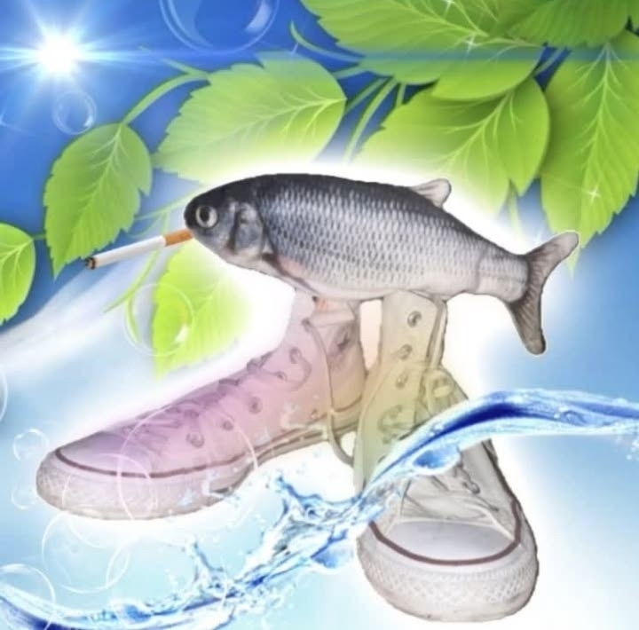 FISH vs REALITY